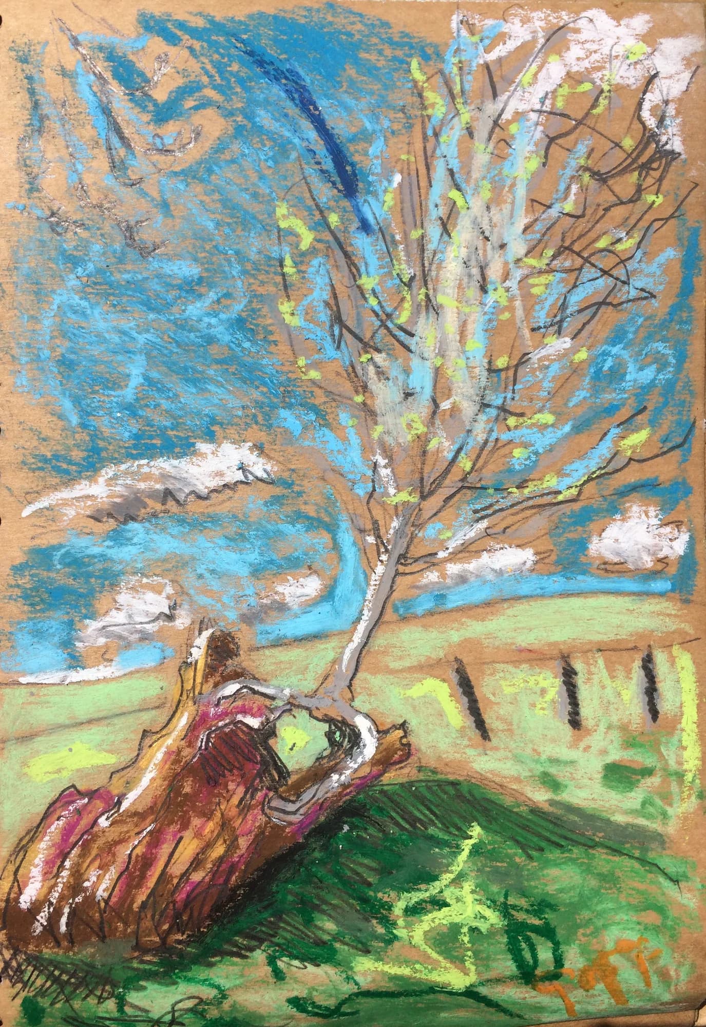 Excitement of Fragment