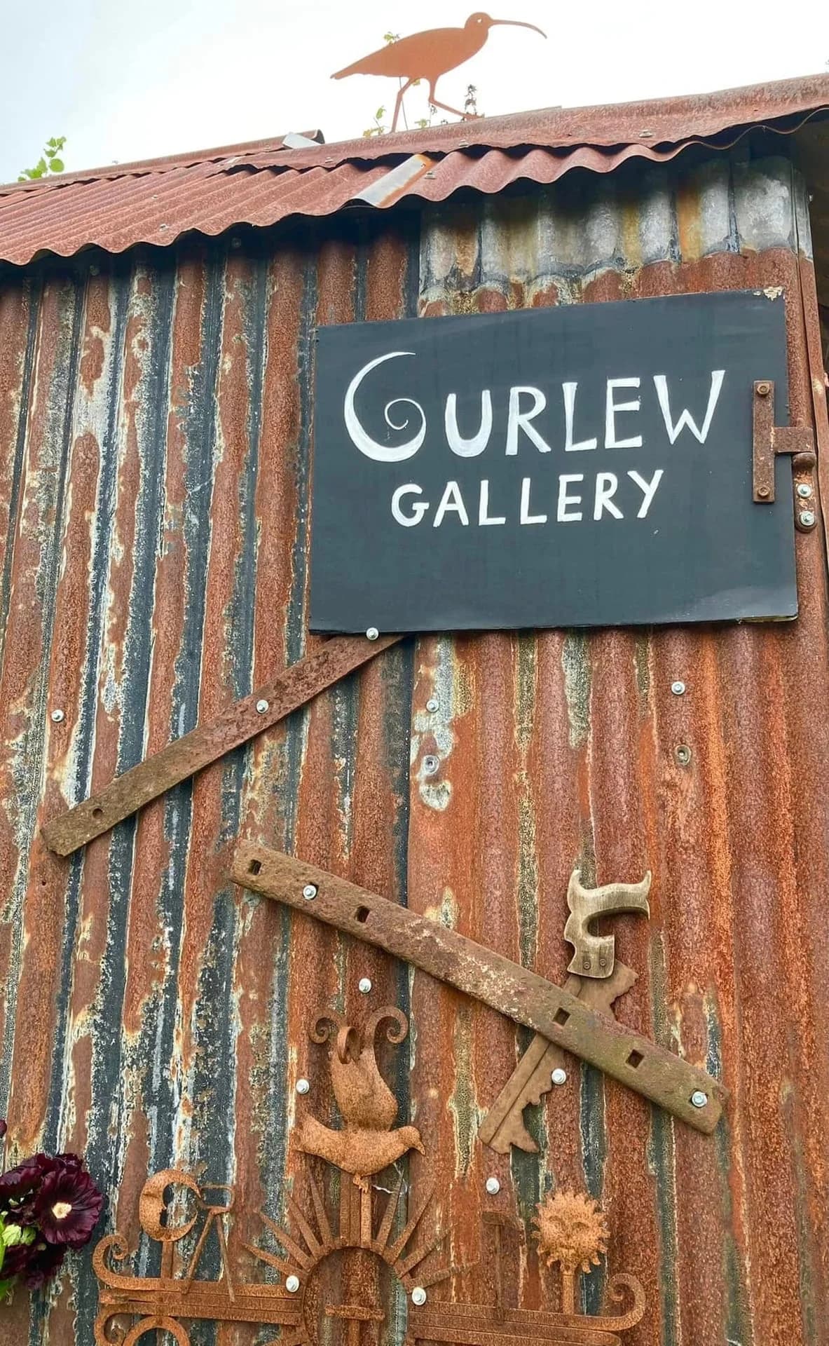 Curlew Gallery view